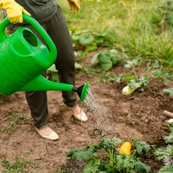 jardinage bricolage ave l'aide à domicile à vauvert et dans tout le gard
