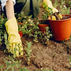jardinage bricolage aide à domicile à Anduze, Vauvert, Bagnols, Grau du roi